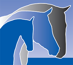 View the Behaviour and Calming range Behaviour and Calming