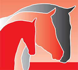 View the Joints and Movement range Joints and Movement