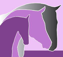 James Hart Equiceuticals James Hart Equiceuticals