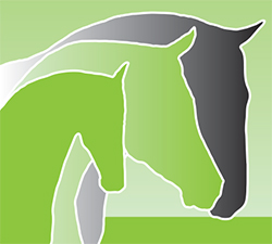 View the Specific Tonics range Specific Tonics