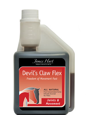 Devil's Claw Flex - James Hart Equiceuticals